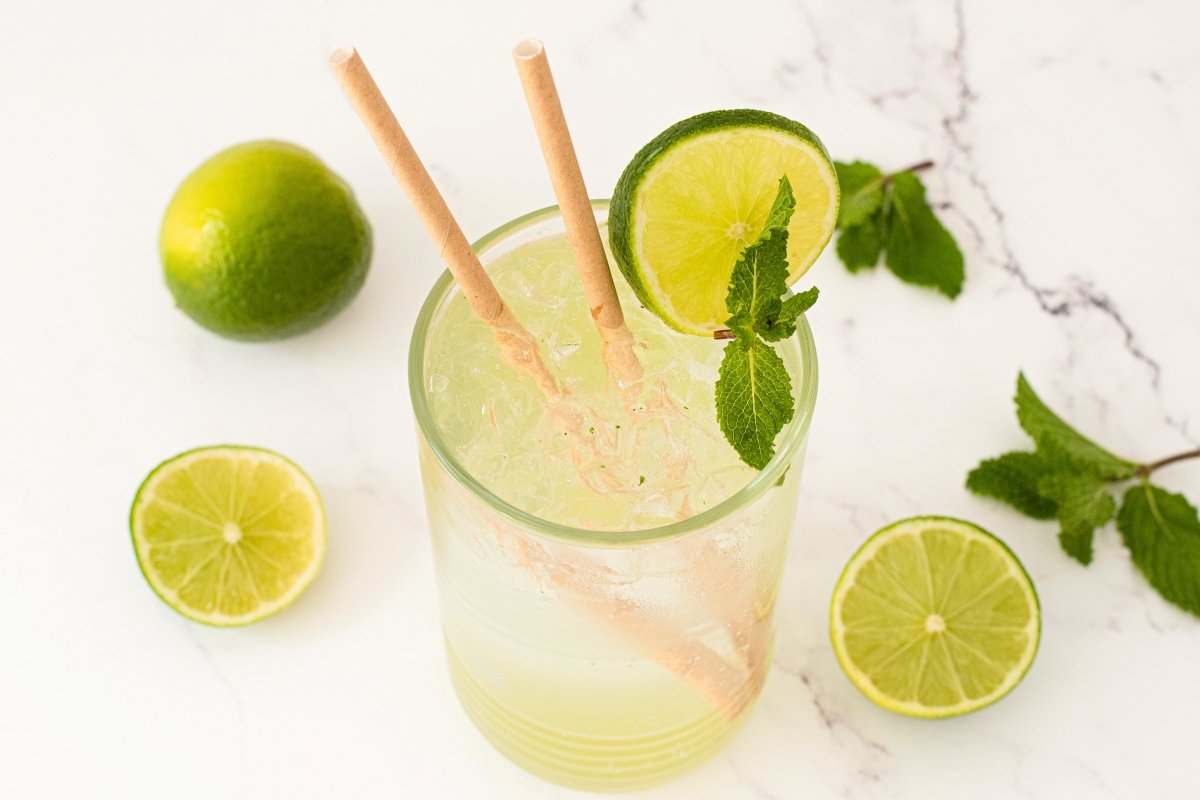 Virgin Mojito Recipe: Refreshing Alcohol-Free Cuban Classic