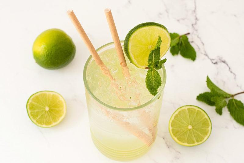 Virgin Mojito Recipe: Refreshing Alcohol-Free Cuban Classic