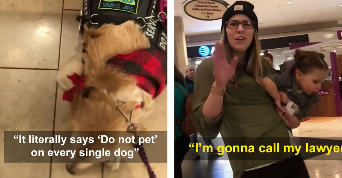 Kid Tries To Pet A Service Dog And Gets Refused, Mom loses it