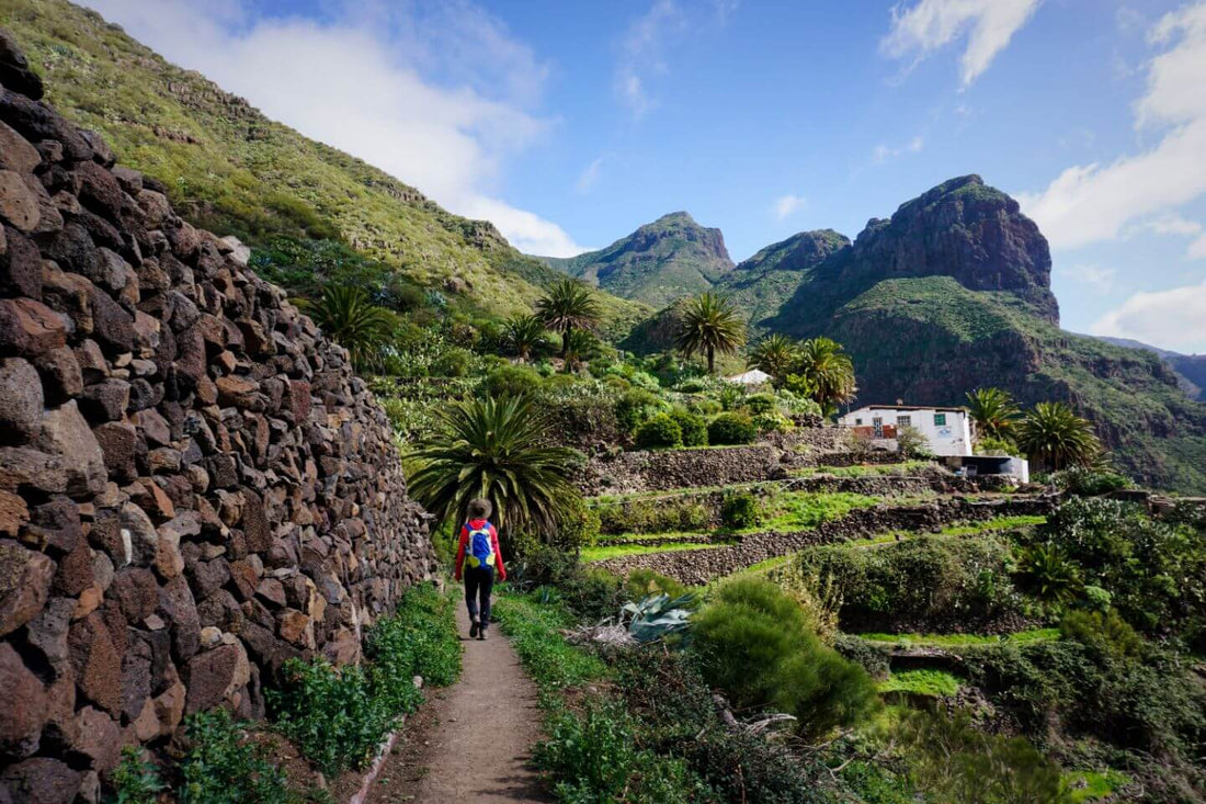 The most spectacular hiking trails in Tenerife