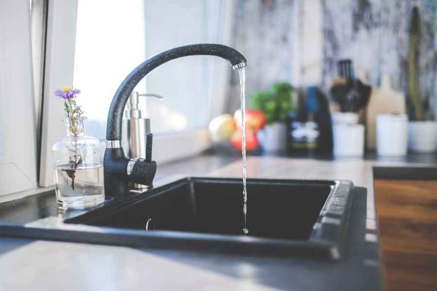 Kitchen Gnats: Where They Come From & How to Get Rid of Them Fast