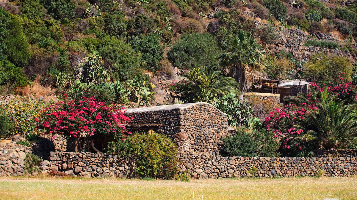 Dry Stone Walls: A Complete Guide to Timeless Masonry