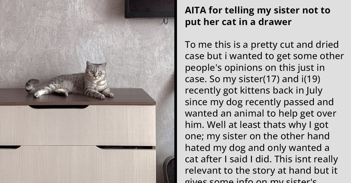 Woman Calls Out Her Sister For Locking Her Kitten In A Drawer