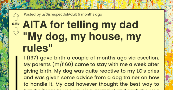 Daughter Asks If She’s Wrong For Telling Her Dad ‘My Dog, My House, My Rules’