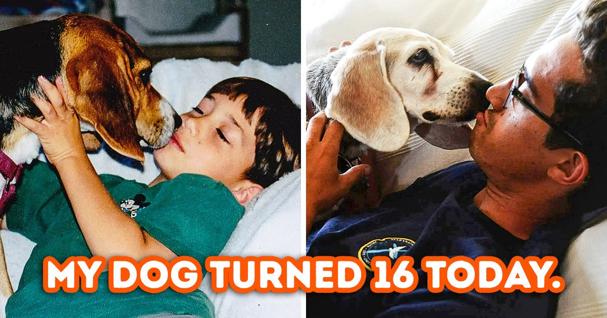 15 People Who Recreated The Old Photos So Brilliantly That It Will Take You To Your Childhood