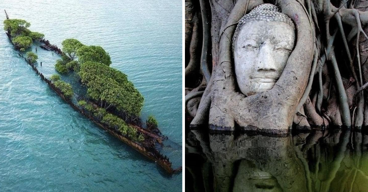 16 Pictures Of Nature Taking Over And It Is Terrifyingly Beautiful