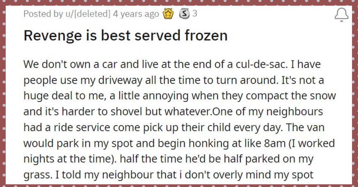 Angry Canadian Neighbour Takes Cold Revenge With A Frozen Trash Can - grandgoldman.com