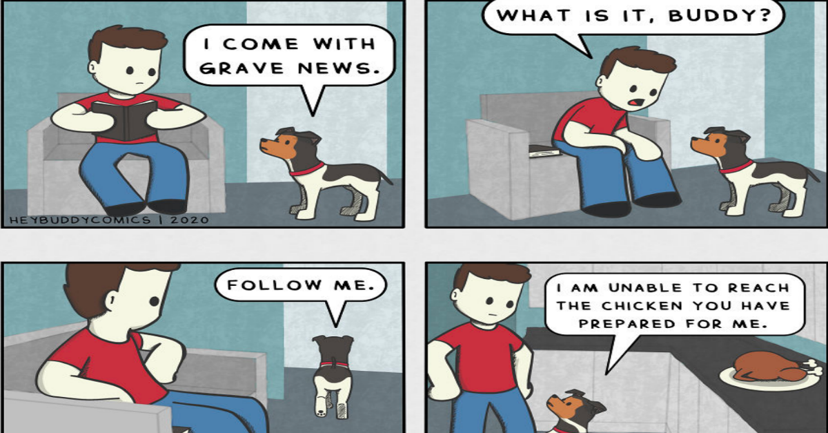 Dog Comics That Accurately Shows Life Of Dog Owners (New Pics) - grandgoldman.com