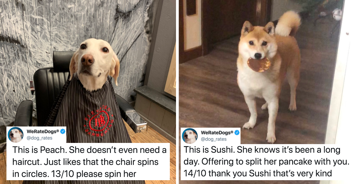Dog Rates That Made World A Better Place One Doggo Rate At A Time (New Pics) - grandgoldman.com