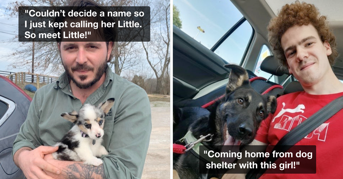 Newly Adopted Dogs Loving Their Furr-Ever Homes - grandgoldman.com