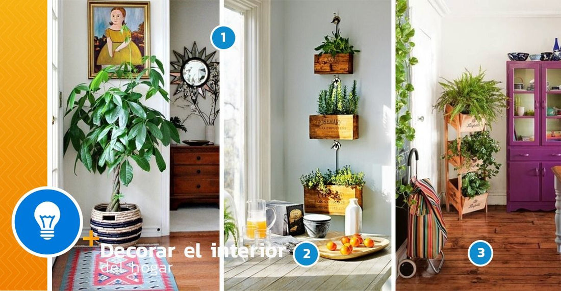 How to decorate the interior of the home with plants - grandgoldman.com