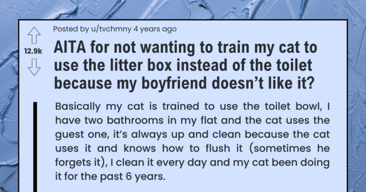 Boyfriend Wants Girlfriend To Litterbox Train Her Cat Who Uses The Toilet Or He Would Leave, GF Refuses