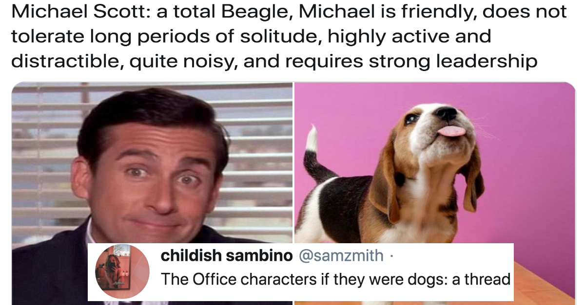 What If The Actors In “The Office” Were All Dogs?