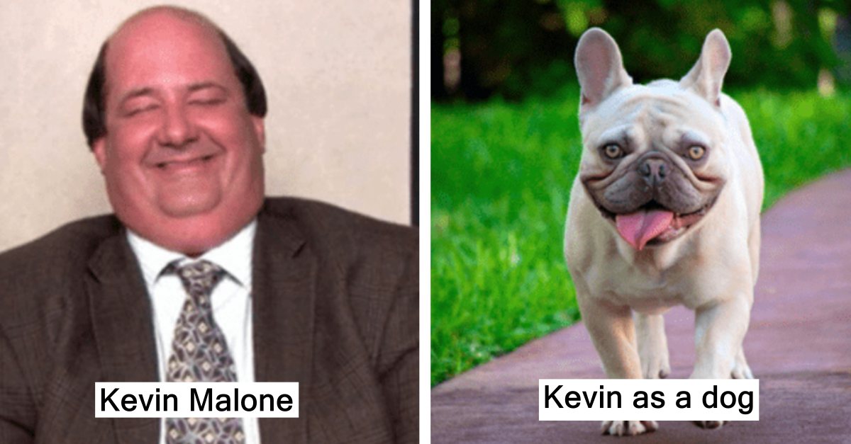 This Is What The Actors In “The Office” Would Look Like If They Were Dogs - grandgoldman.com