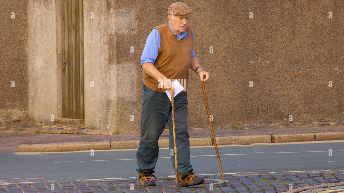 Best Folding Cane - Grand Goldman