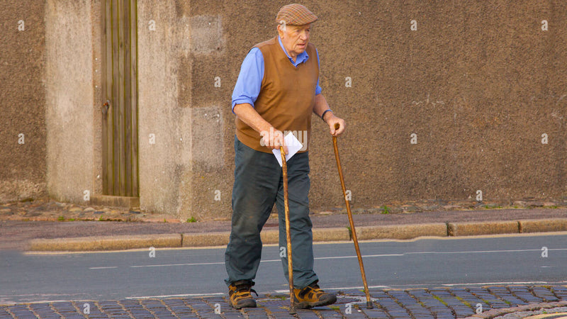 Best Folding Cane - Grand Goldman