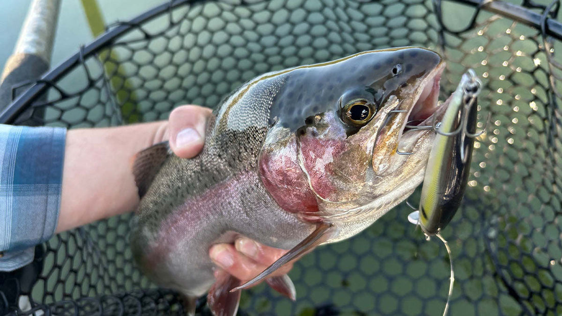 Best Fishing Lures for Trout - Grand Goldman