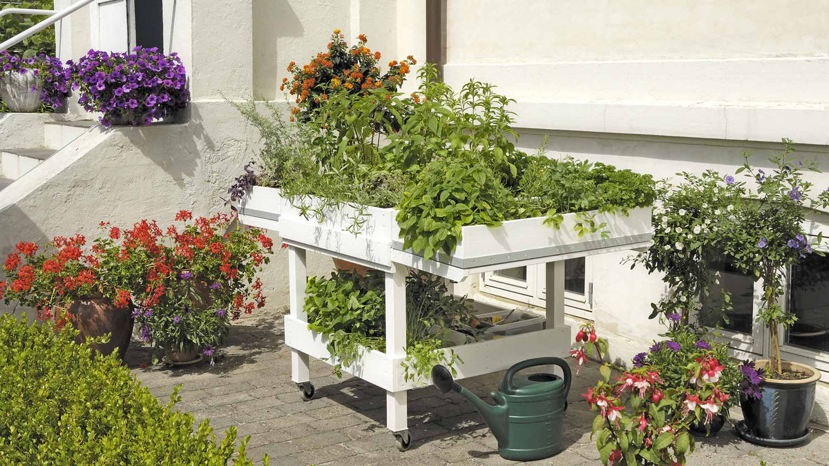 DIY Raised Garden Bed: How to Build a Versatile Planter Bench