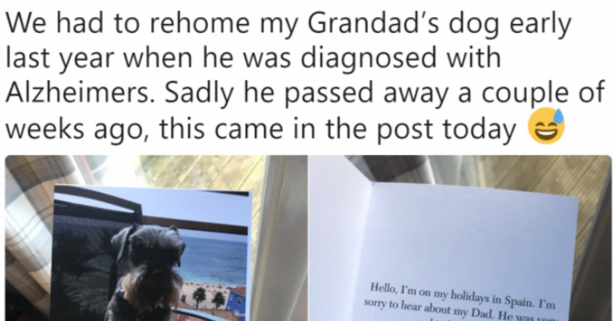 Wholesome Posts That Will Make You Believe In Humanity Again