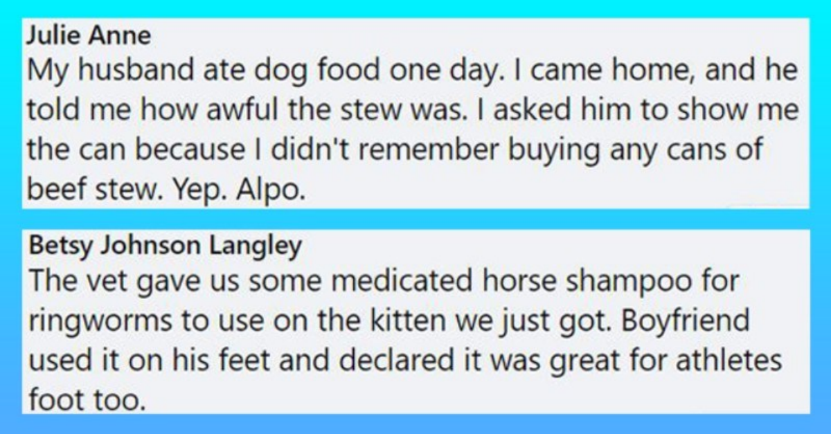 12 Times People Accidentally (Or Purposefully) Using Their Pets’ Products & It Changed Everything