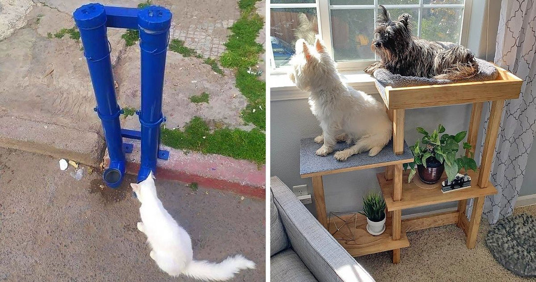 25 People Who Spoiled Their Pets By Giving Them Special Handmade Gifts
