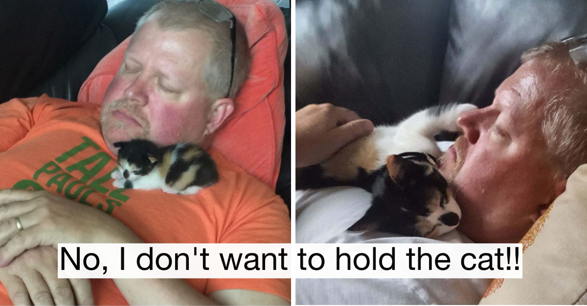 50 People Who Didn’t Want Cats But Came Around Real Quick - grandgoldman.com