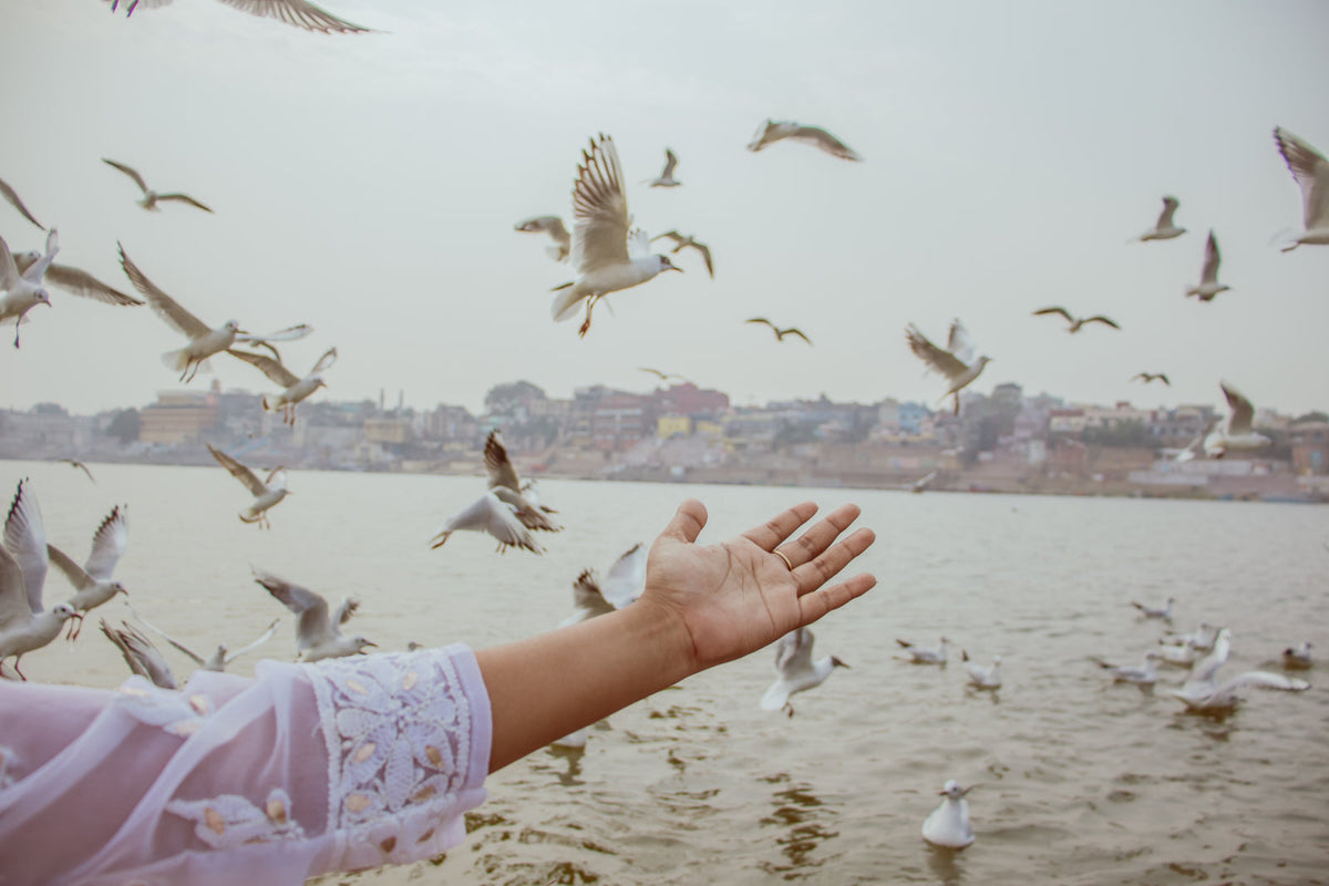 Flew vs flown: the grammar rule most people get wrong (Full Guide)