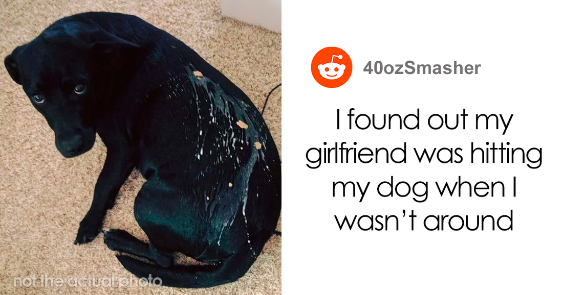 35 Times People Chose Their Pets Over Their ‘Partners’ & It Changed Their Lives