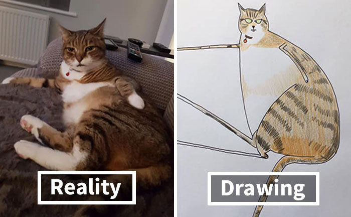 30 Badly Drawn Animal Portraits That Are Actually Masterpieces - grandgoldman.com