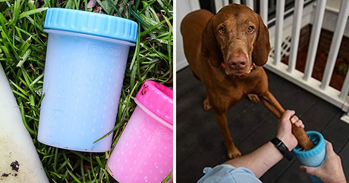 15 Amazon Products That Will Make Your Pet Happy