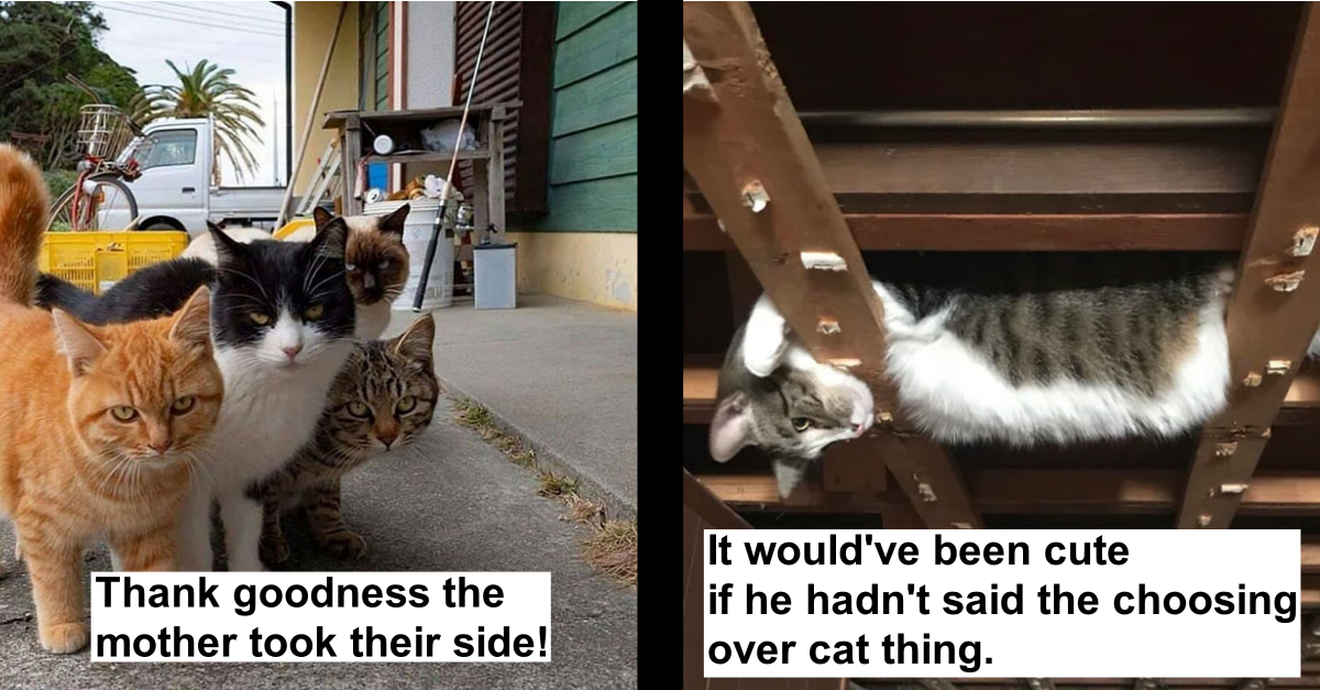 30 Times People Sided With Their Pets Instead Of Humans And Their Lives Had A Complete Change Over