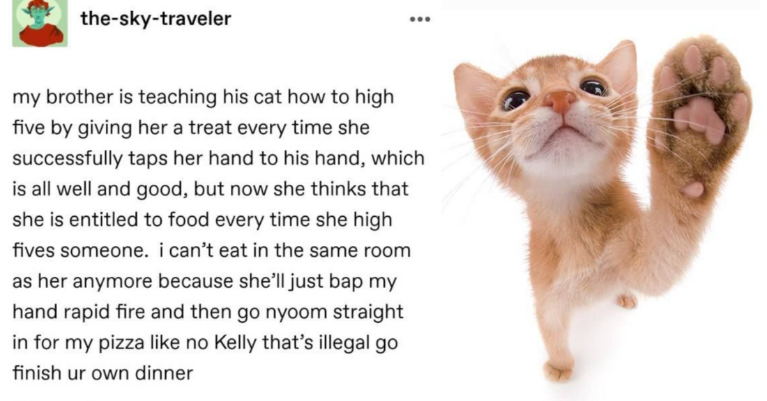 19 Hysterical Stories Of “Training Pets Gone Wrong” Shared By Pet Owners