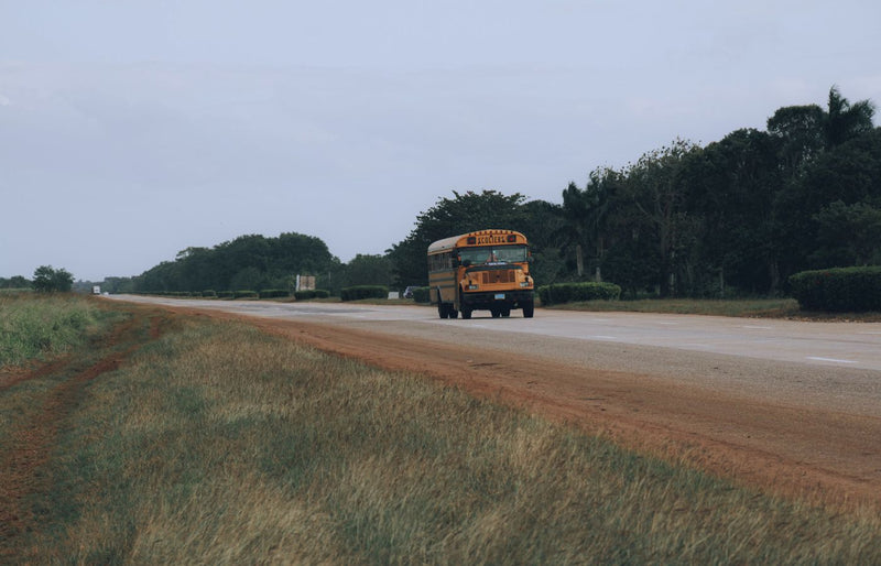 A yellow school bus travels along a rural road surrounded by grassy fields and trees during an overcast day.