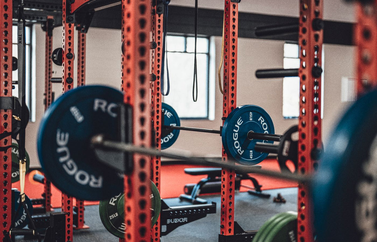 Close-up view of gym equipment with barbells and weight plates, perfect for strength training enthusiasts.