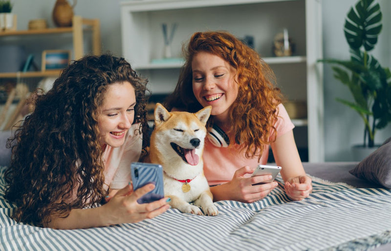 Two women enjoying leisure time with smartphones and a happy dog on a bed.