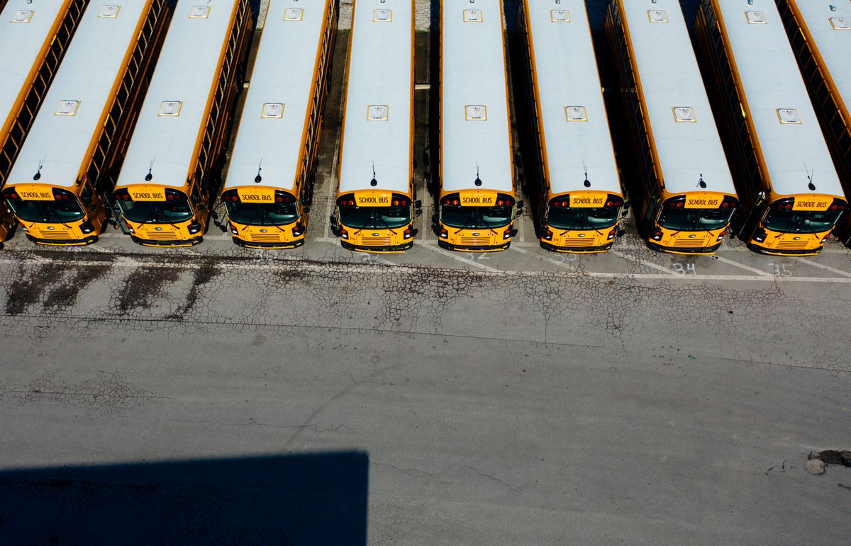 Top-down aerial shot of yellow school buses aligned in a parking lot on a sunny day.