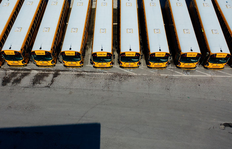 Top-down aerial shot of yellow school buses aligned in a parking lot on a sunny day.