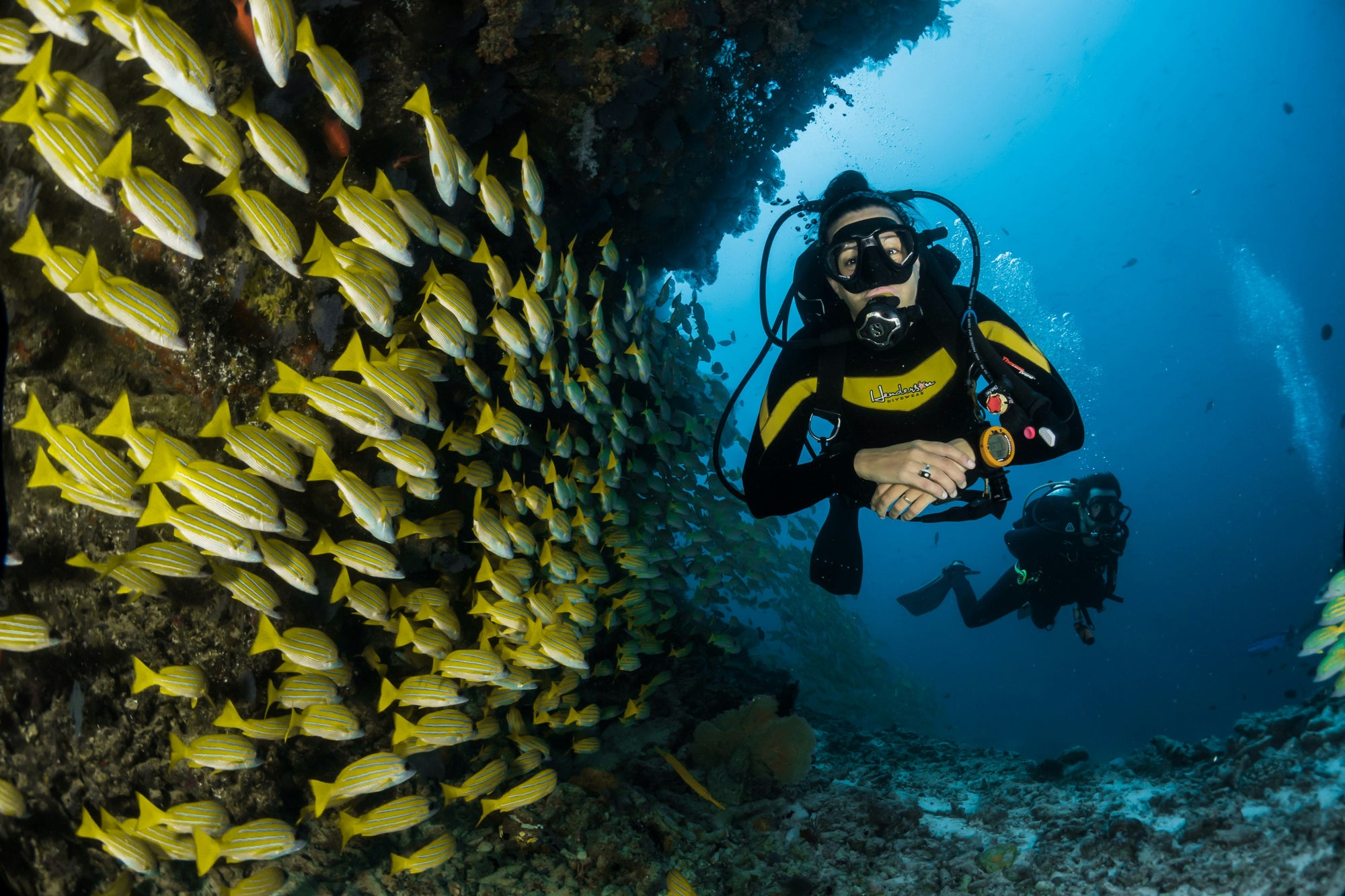 Snorkeler swimming next to a whale shark near Cancun