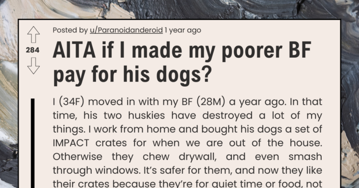 Girlfriend Asks If She Is Wrong For Making Her Poorer Boyfriend Pay For Damages His Dogs Did