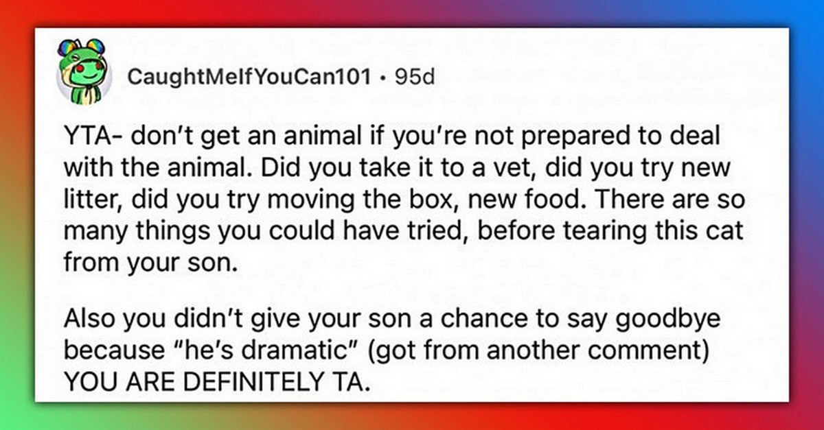 Cat Keeps Pooping Outside The Litter Box, Dad Gets Rid Of It, Internet Is Not Happy - grandgoldman.com