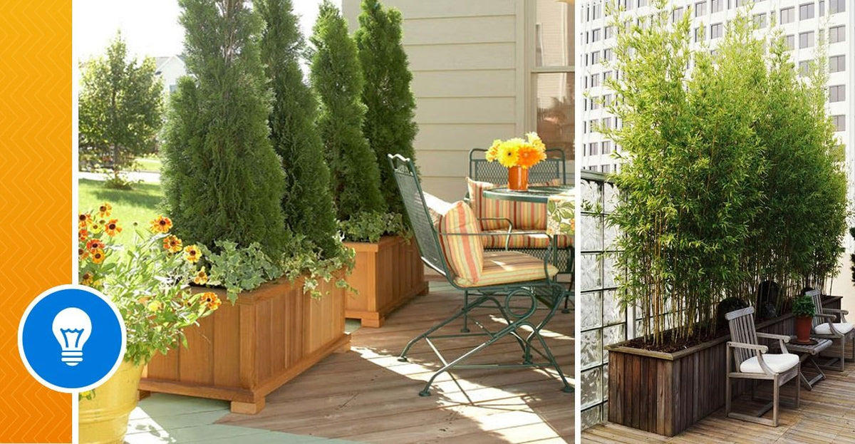 Creative ideas to give privacy to your garden or terrace - grandgoldman.com