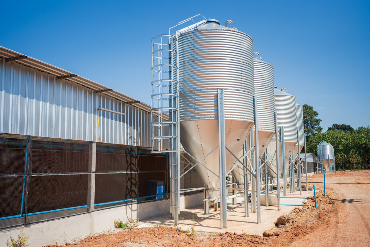 Silo Cleaning: Hidden Pest Risks, Solutions & Safety Rules