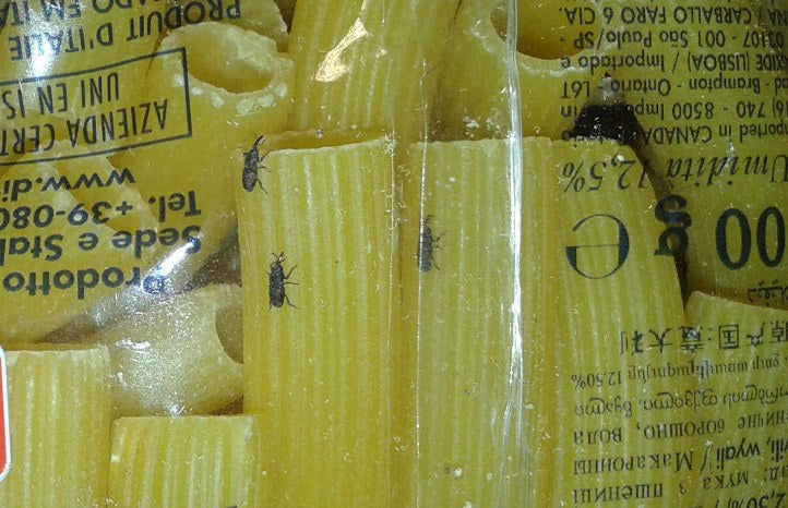 Pantry Pests: How to Keep Weevils Out of Your Pasta for Good