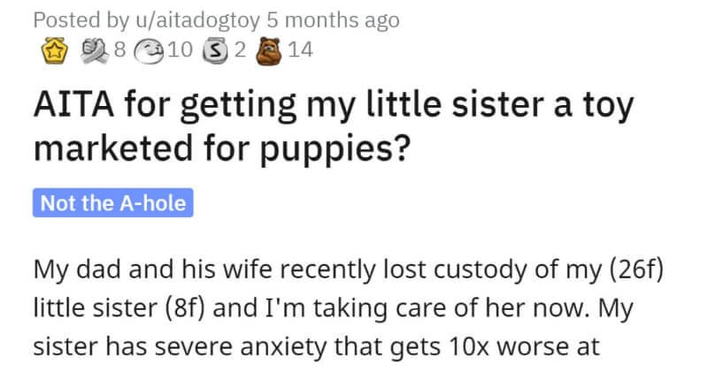 Woman Buys Her Sister A Toy Meant For Puppies, Gets Criticized - grandgoldman.com