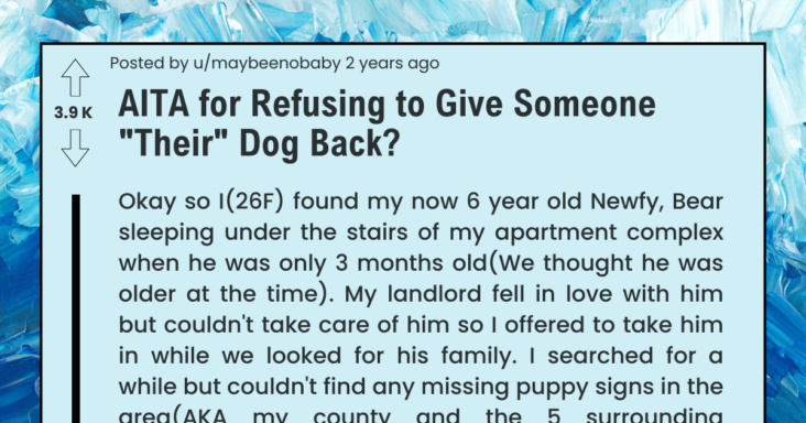 Dog Owner Refuses To Give A Dog She Found Six Years Ago To His Previous Owner