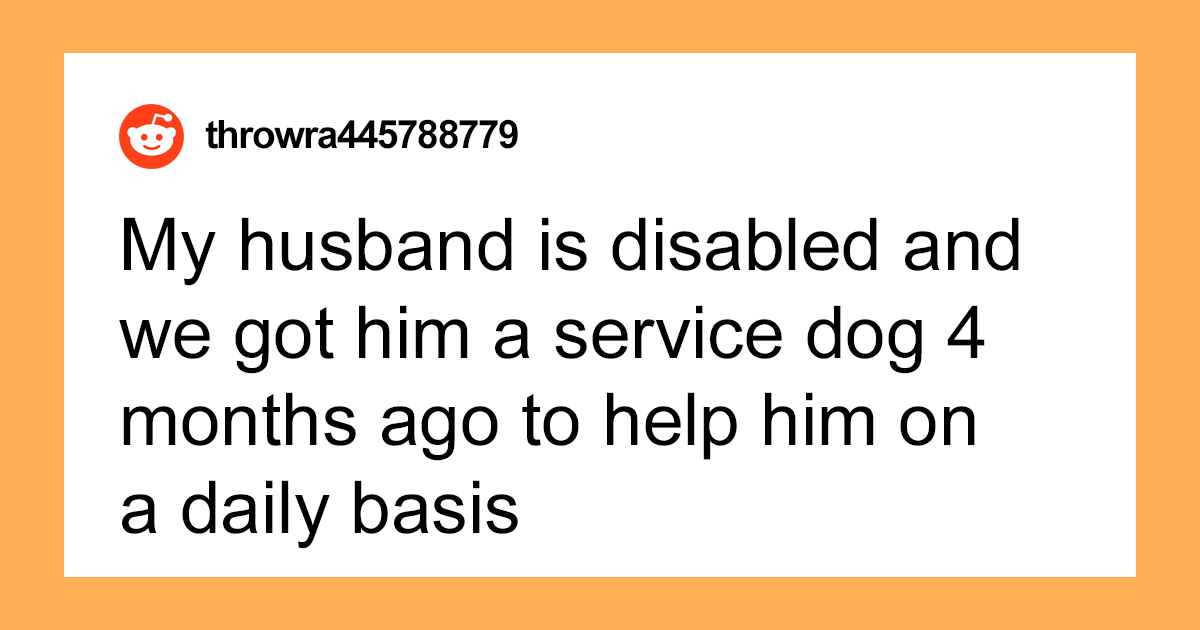 Woman Refuses To Get Rid Of Her Husband’s Service Dog Because Her Niece Doesn’t Feel Comfortable - grandgoldman.com