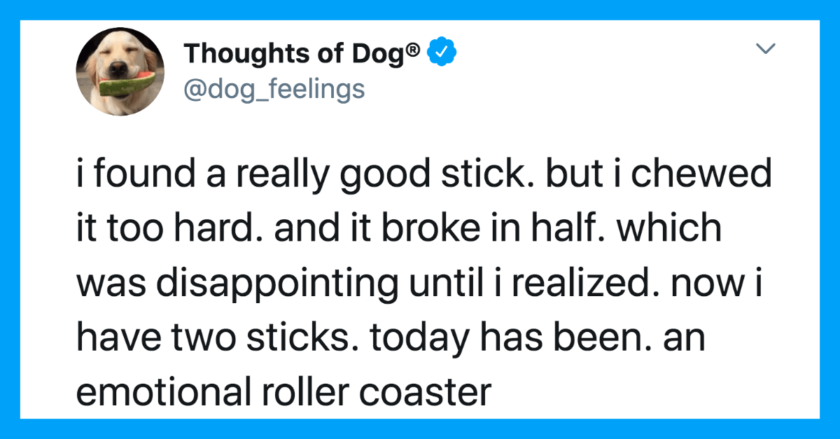 30 Funniest Dog Thoughts That Every Dog Owner Can Relate To