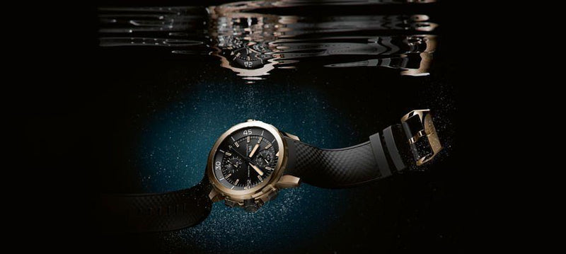 Aquatimer Chronograph Charles Darwin Edition, the return to bronze - grandgoldman.com