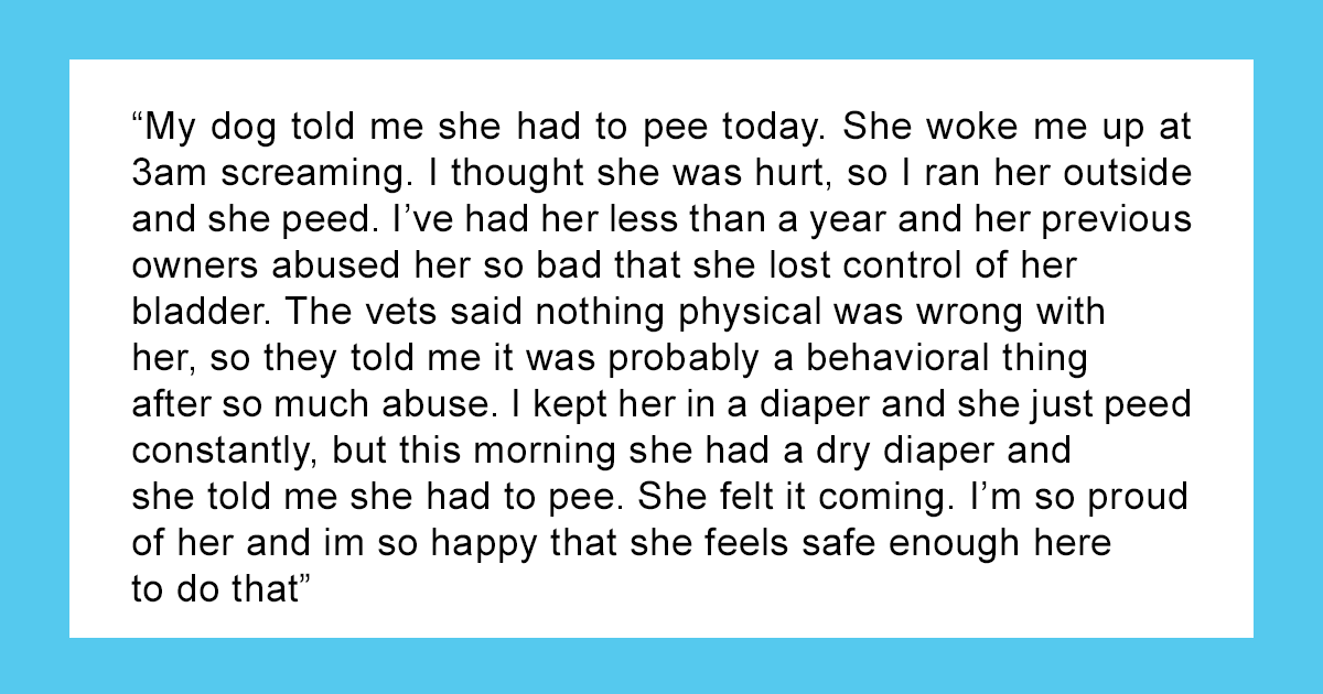 14 Heartwarming Instances Of Rescue Dogs Building Trust With Their Humans