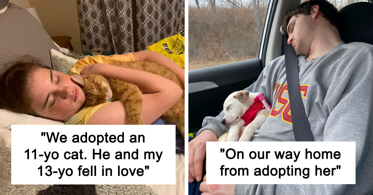 40 Pet Rescue Stories Beautifully Sum Up Why It’s Better To Adopt Than To Shop - grandgoldman.com